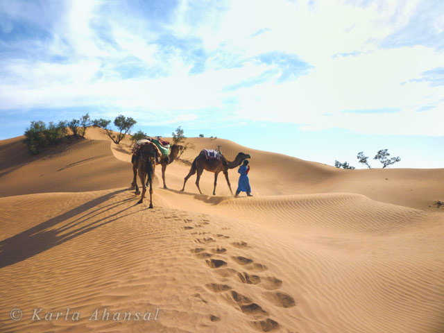 Bildergalerie 6 der Caravane Rose du Sable