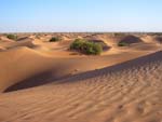 Dünen bei Ouled Driss bei Caravane Rose du Sable