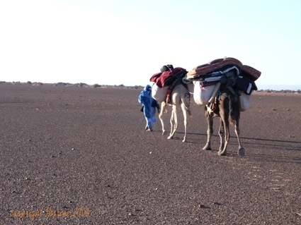 Gruppenreisen bei Caravane Rose du Sable