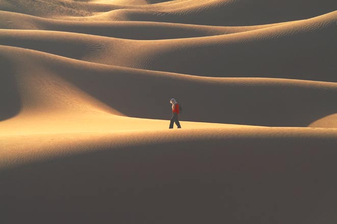 Sandläuferin; Caravane Rose du Sable