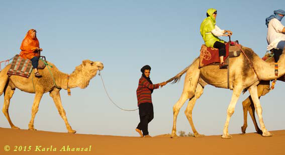 wie Sie zur Caravane Rose du Sable finden